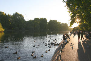 afternoon, autumn, bird, day, England, eye level view, group, lake, London, park, people, standing, sunny, The United Kingdom, treeline