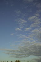 afternoon, Altocumulus, autumn, blue, cloud, day, eye level view, natural light, open space, sky