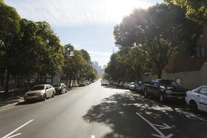 broad-leaf tree, broad-leaved tree, California, car, day, eye level view, San Francisco, street, summer, sunny, The United States, urban