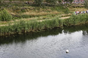 canal, day, elevated, England, London, park, reed, summer, sunny, The United Kingdom