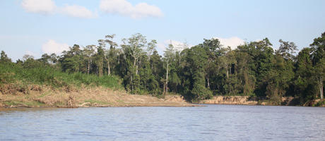 bright, Brunei, day, eye level view, forest, river, summer, sunny, tropical