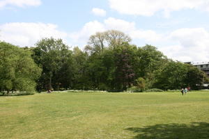 afternoon, Cambridge, day, England, eye level view, grass, lawn, spring, sunny, The United Kingdom, tree, vegetation