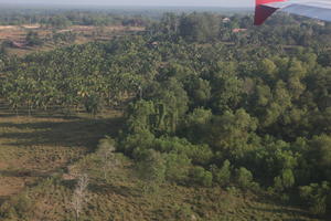 aerial view, Brunei, day, summer, sunny, tropical, woodland