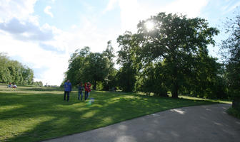 broad-leaf tree, broad-leaved tree, day, England, eye level view, grass, London, park, summer, sunny, The United Kingdom