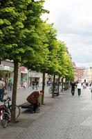 Amiens, bicycle, day, eye level view, France, group, man, overcast, pavement, people, Picardie, shopping, street, tree