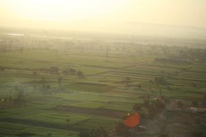 aerial view, dusk, East Timor, Egypt, Egypt, field, palm, vegetation