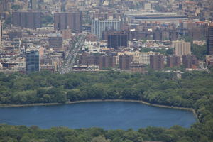 Central Park, cityscape, day, elevated, lake, Manhattan, New York, park, sunny, The United States, tree, vegetation