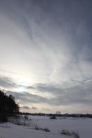 afternoon, cloud, day, diffuse, diffused light, eye level view, natural light, open space, Poland, sky, snow, Wielkopolskie, winter