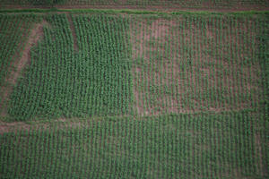 aerial view, Cusco, day, diffuse, diffused light, field, Peru, Pisaq, summer