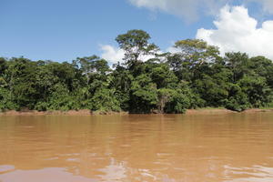 day, eye level view, Madre de Dios, Peru, river, shrub, summer, sunny, treeline, tropical