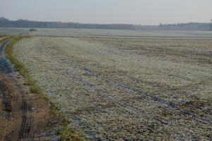 Poland, Wielkopolskie