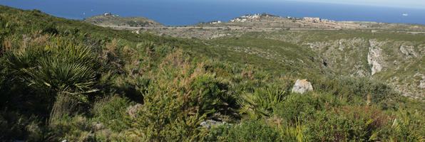 bright, day, Denia, elevated, shrubland, Spain, spring, sunny, Valenciana