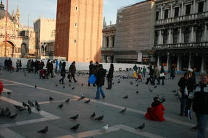 bird, casual, day, dusk, eye level view, group, Italia , people, Piazza San Marco, pidgeons, square, Veneto, Venice, winter