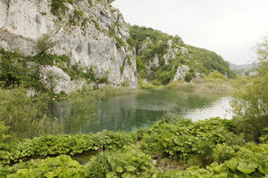 cliff, Croatia, day, diffuse, diffused light, eye level view, Karlovacka, lake, natural light, reed, shrub, summer