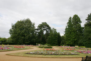 Abingdon, coniferous, day, England, eye level view, flower, flowering, garden, natural light, park, summer, The United Kingdom, tree