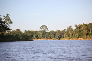 bright, Brunei, day, eye level view, forest, river, summer, sunny, tropical