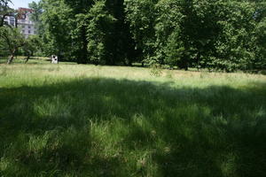 day, England, eye level view, grass, London, park, shady, summer, sunny, The United Kingdom