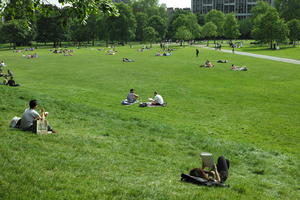 day, elevated, England, grass, Hyde Park, laying, London, park, people, sitting, spring, sunny, The United Kingdom, vegetation