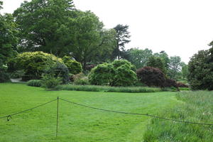 day, England, eye level view, garden, grass, natural light, park, The United Kingdom, Woking