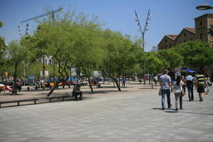 Barcelona, Cataluña, day, direct sunlight, eye level view, group, people, Spain, spring, square, summer, sunny, tree, vegetation