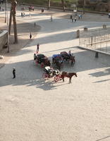 carriage, day, elevated, horse, Italia , Lazio, Rome, street, summer, sunny