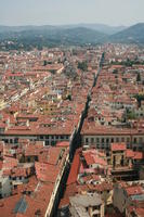 building, day, elevated, Florence, Italia , natural light, summer, sunlight, sunny, sunshine, Toscana, town