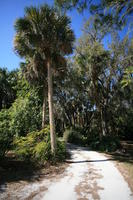 day, eye level view, Florida, Miami, natural light, palm, park, sunny, The United States, tropical, vegetation, winter