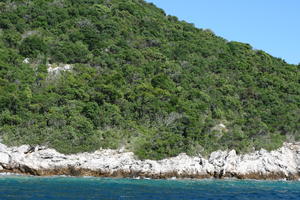 Croatia, Croatia, day, eye level view, hill, seascape, sunny, tree, vegetation