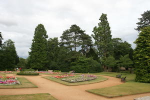 Abingdon, coniferous, day, England, eye level view, flower, flowering, garden, natural light, park, summer, The United Kingdom, tree, treeline