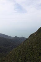 day, elevated, forest, Kedah, Malaysia, mountain, overcast, vegetation