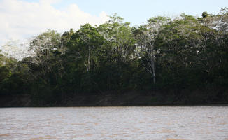 bright, Brunei, day, eye level view, forest, river, summer, sunny, tropical