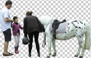 casual, caucasian, cutout, cutout groups, cutout people, day, eye level view, family, horse, people, sport, standing, trainer