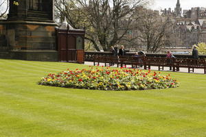 afternoon, day, Edinburgh, eye level view, flower, garden, grass, natural light, park, Scotland, spring, The United Kingdom