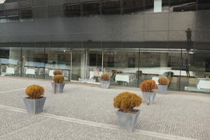 Copenhagen , day, Denmark, eye level view, facade, glass, Kobenhavn, overcast, potted plant, restaurant, winter