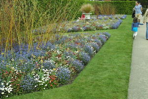 day, England, eye level view, flower, garden, grass, natural light, park, The United Kingdom, Woking