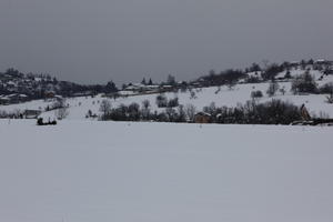 ambient light, day, diffuse, diffused light, eye level view, field, Italia , morning, natural light, overcast, snow, tree, Veneto, winter