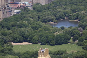 Central Park, day, elevated, lake, Manhattan, New York, park, sunny, The United States, tree, vegetation