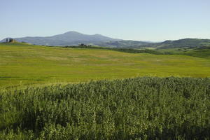 afternoon, day, elevated, field, grass, Italia , Siena, spring, sunny, Toscana, valley