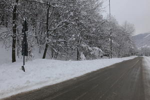 ambient light, day, diffuse, diffused light, eye level view, Italia , morning, natural light, overcast, road, snow, tree, Veneto, winter