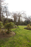 day, deciduous, England, eye level view, garden, grass, London, palm, park, plant, shrub, spring, sunny, The United Kingdom, tree