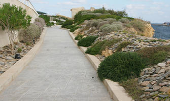 autumn, bush, day, diffuse, diffused light, eye level view, garden, kerb, Malta, natural light, pavement, shrub