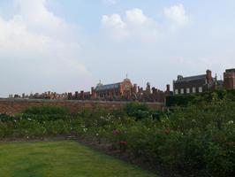 afternoon, bush, day, England, eye level view, flower, garden, grass, natural light, park, summer, sunny, The United Kingdom