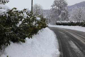 ambient light, bush, day, diffuse, diffused light, eye level view, Italia , morning, natural light, overcast, plant, road, snow, Veneto, winter