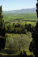 afternoon, cypress, day, elevated, greenery, Italia , Siena, spring, sunny, Toscana, tree, valley