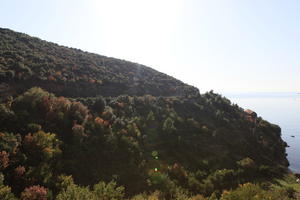 autumn, bright, Croatia, day, Dubrovacko-Neretvanska, Dubrovnik, eye level view, hill, natural light, shrubland, sunny