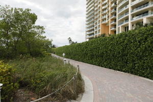 day, diffuse, diffused light, eye level view, Florida, grass, hedge, Miami, path, pavement, summer, The United States