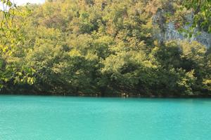 Croatia, day, eye level view, forest, Karlovacka, lake, sunny, tree, vegetation