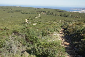 bright, bush, day, Denia, elevated, shrub, shrubland, Spain, spring, sunny, Valenciana