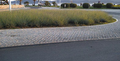 bush, Croatia, eye level view, garden, lavander, pavement, spring, sunset, Zadar, Zadarska