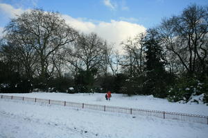 ambient light, Battersea park, day, diffuse, diffused light, England, eye level view, fence, London, natural light, park, snow, The United Kingdom, tree, vegetation, winter